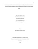 yvrodriguezv.pdf.jpg