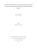 mricoro.pdf.jpg