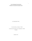 Lamunozvi.pdf.jpg