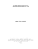 rnunezh.pdf.jpg