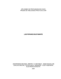 lfbustamanter.pdf.jpg