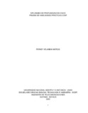 fvelandiam.pdf.jpg