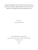 cmruizm.pdf.jpg