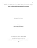 gpcubillosr.pdf.jpg