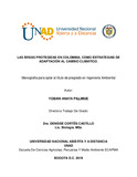 yanayap.pdf.jpg