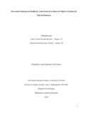 lyarevalob.pdf.jpg