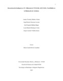 aymendezg.pdf.jpg