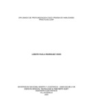 lprodriguezv.pdf.jpg