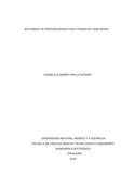 oapinillaa.pdf.jpg