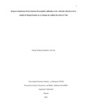 nsramireza.pdf.jpg