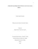 yvalenciaf.pdf.jpg