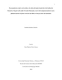 gsanchezsanc.pdf.jpg