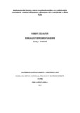10490340.pdf.jpg