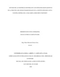 dpgarciapu.pdf.jpg