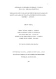 53028671.pdf.jpg