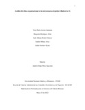 mrodriguezso.pdf.jpg