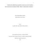 femenesesg.pdf.jpg