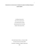 lyayalag.pdf.jpg