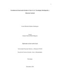 cordonezb.pdf.jpg