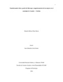 maperezrey.pdf.jpg
