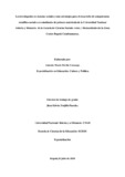 amdavilac.pdf.jpg