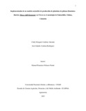 ImplementaciondeunmodelosostenibledeproducciondeplantulasdeplatanoDominicoHartonMusaAABSimmondsenviveroenelmunicipiodePalocabildoTolimaColombia.pdf.jpg