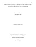 vnavarrog.pdf.jpg