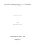 miportillopu.pdf.jpg
