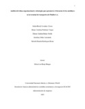 dcperdomov.pdf.jpg