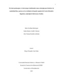 ztesterillaa.pdf.jpg