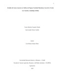 ymvacacelat.pdf.jpg