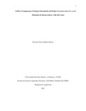 pegamboar.pdf.jpg