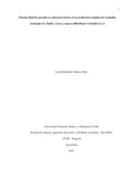 levelascop.pdf.jpg