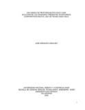 jgsanchezra.pdf.jpg