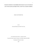qlfernandezp.pdf.jpg