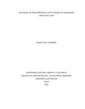 npnavarrop.pdf.jpg