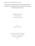 ndjansasoys.pdf.jpg