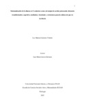Lmgutierrezv.pdf.jpg