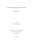dsruizpe.pdf.jpg