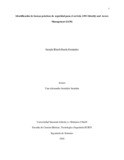 geruedah.pdf.jpg