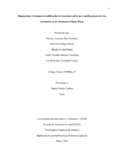 DADIAZGUE.pdf.jpg