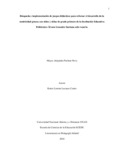 mapachonn.pdf.jpg