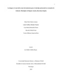 ybguanemer.pdf.jpg