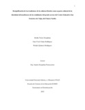 wquinteroro.pdf.jpg