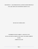 94313714.pdf.jpg