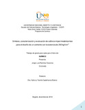 jlramireze.pdf.jpg