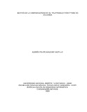 asanchezcast.pdf.jpg