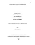 rcastrod.pdf.jpg