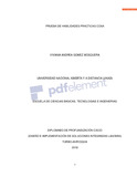 vagomezm.pdf.jpg