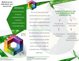 358115_OVI_Unidad3_Remediación_ambiental_por_adsorción.pdf.jpg